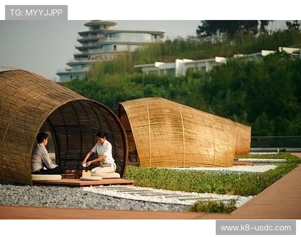 如何选择合适的皇冠注册平台及比较不同平台的优势和不足