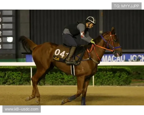 澳门赛马玩法全攻略带你领略澳门赛马独特的文化魅力